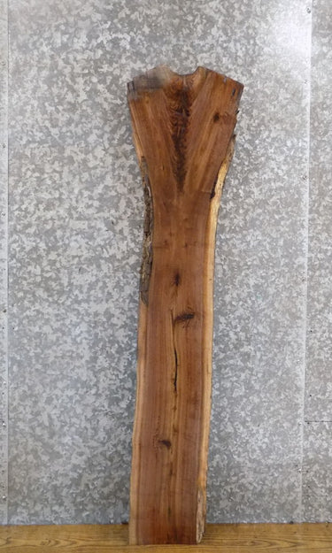 Rustic Live Edge Black Walnut Accent/Side Table Top Wood Slab 1401